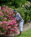 192 foto MVervoorn IMG_5402